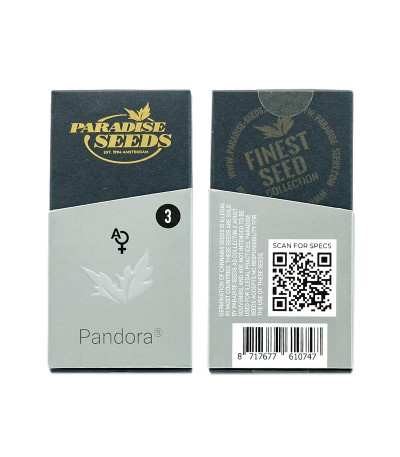 Сорт Pandora Auto fem (Paradise Seeds)