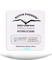 Fruity Autoflower Mix fem (Dutch Passion)