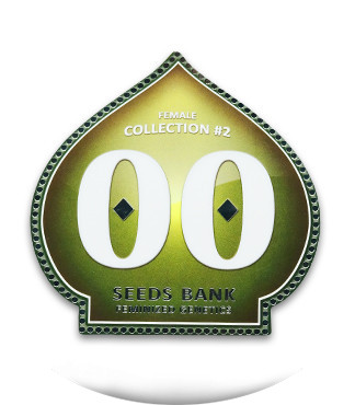 Female Collection #2 fem (00 Seeds)