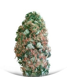 MR.Fix fem (VIP seeds)