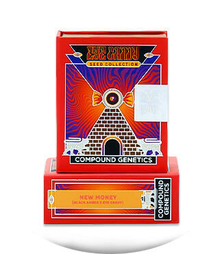 New Money fem (Compound Genetics)