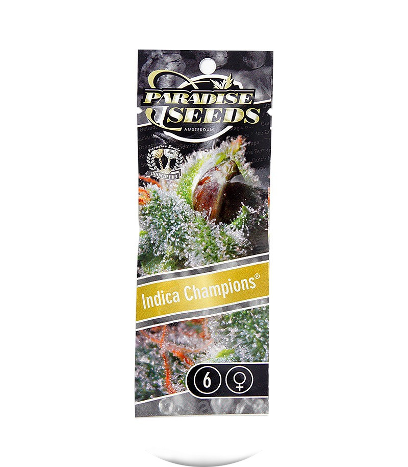 Indica Champions Pack fem (Paradise Seeds)